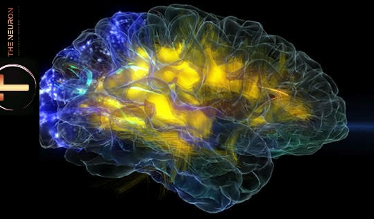 DO YOU KNOW WHAT IS YOUR TYPE OF PERSONALITY ??? : SUNDAY MIRROR