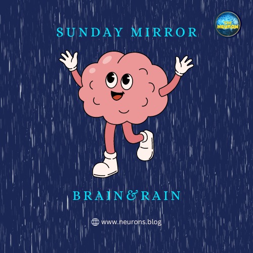 EFFECTS OF RAIN ON THE BRAIN