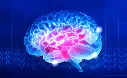 GOOD LIPIDS WHICH HELPS OUR BRAIN & WHERE TO GET IT (LIPID DAY SPECIAL) : SUNDAY MIRROR