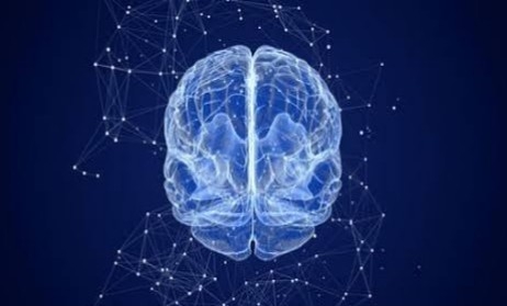 EARLY SIGNS OF MEMORY LOSS EVERYONE SHOULD REMEMBER (ALZHEIMER’S MONTH SPECIAL): SUNDAY MIRROR